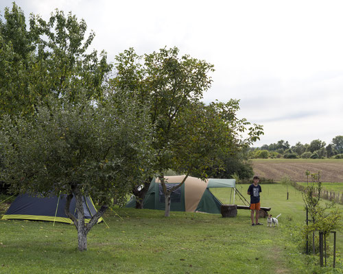 Moongarden camp